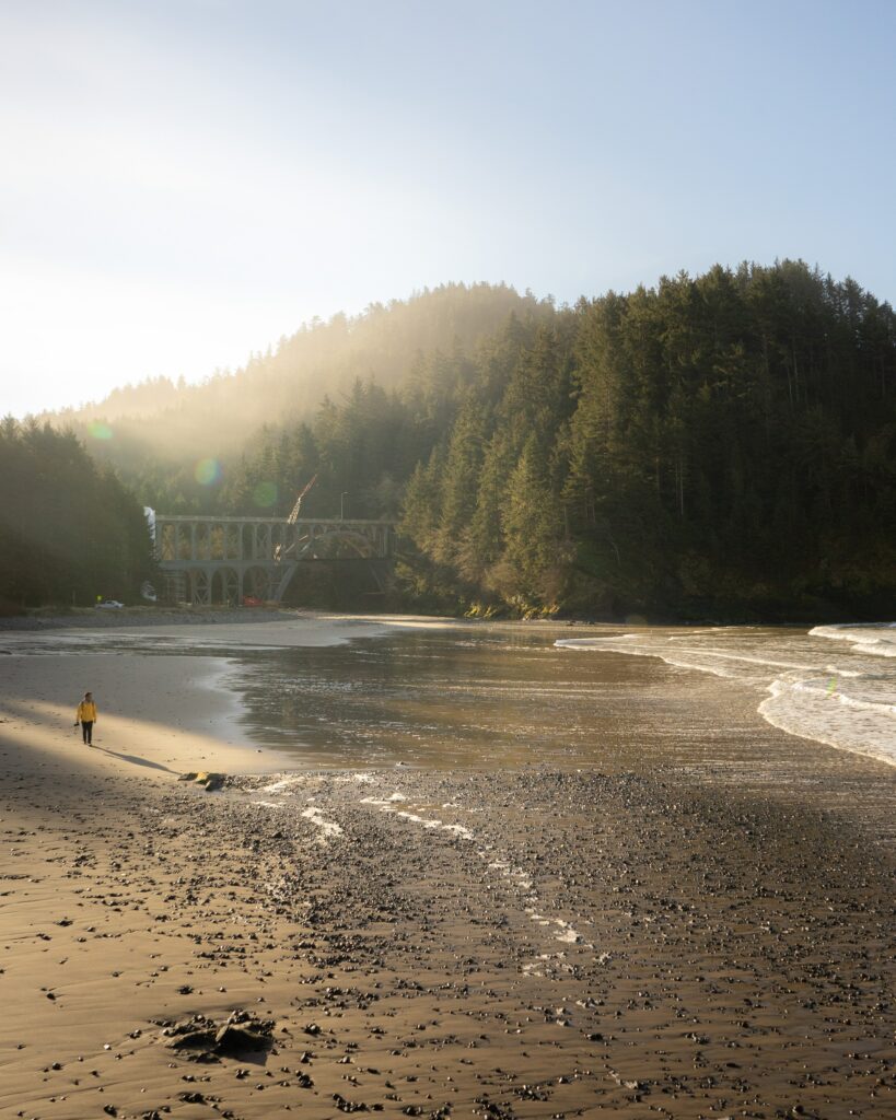 A sandy beach with a forest behind at low tide - in the distance a person is walking