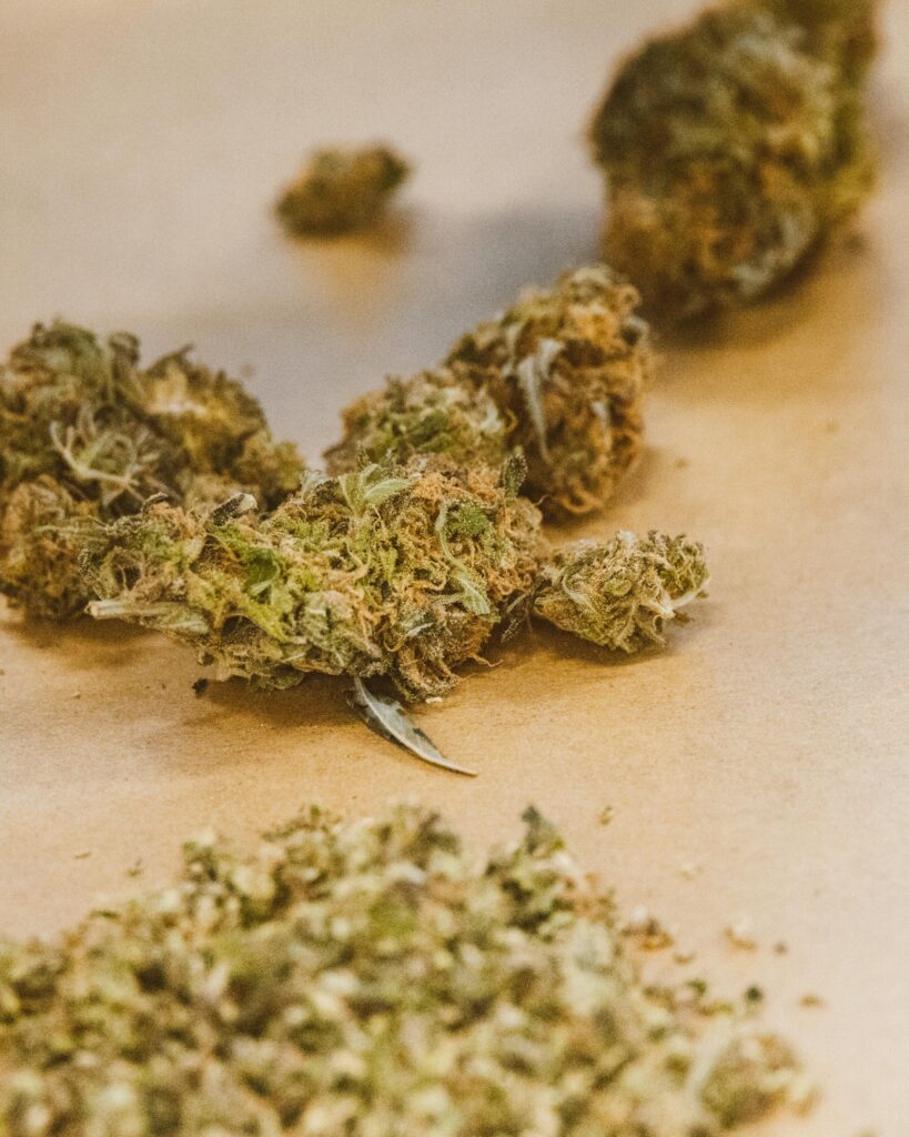 Medical Cannabis and PTSD - Close up image of green cannabis buds