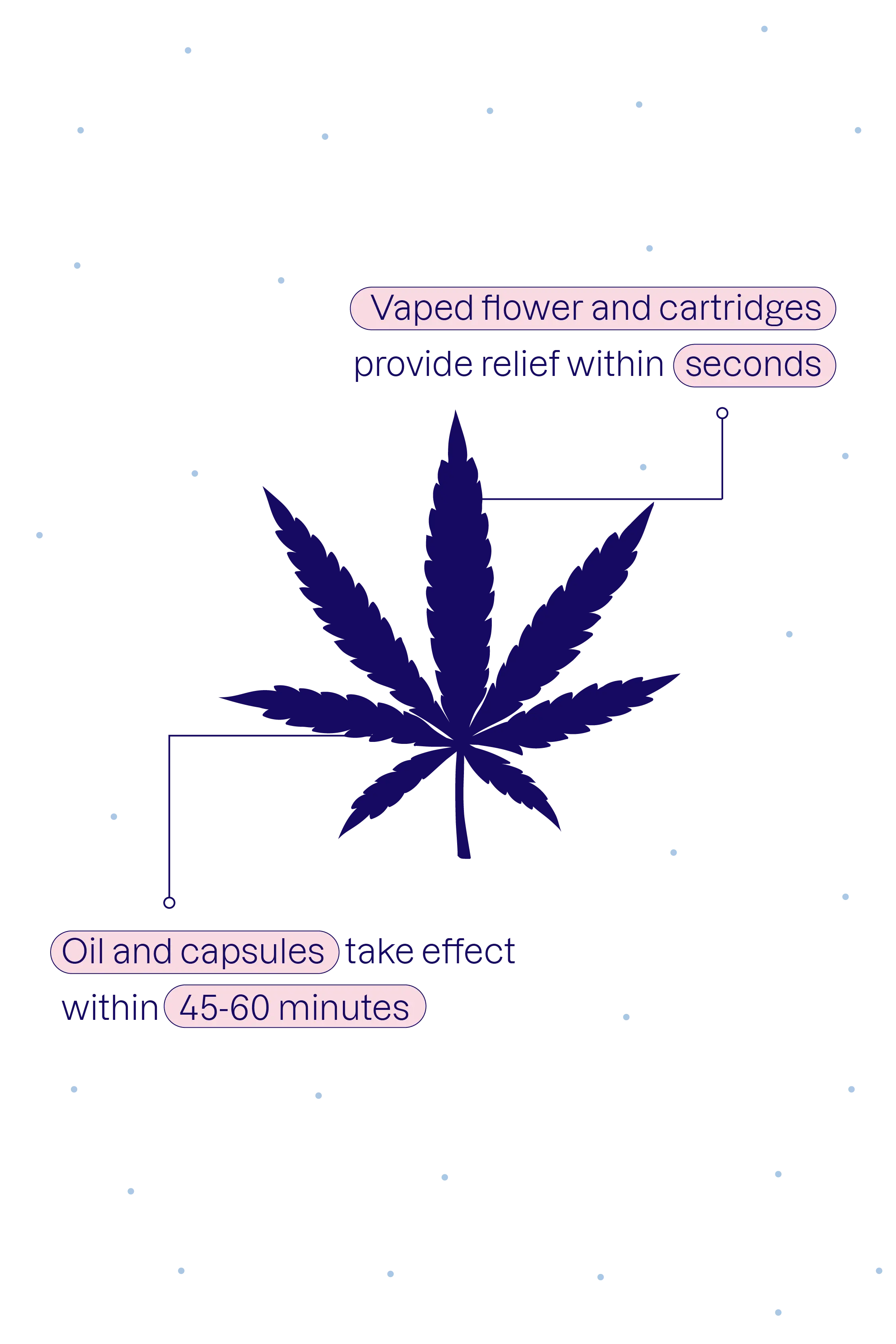 An illustration of a cannabis leaf annotated with: Vaped flower and cartridges provide relief within seconds. Oil and capsules take effect within 45-60 minutes.