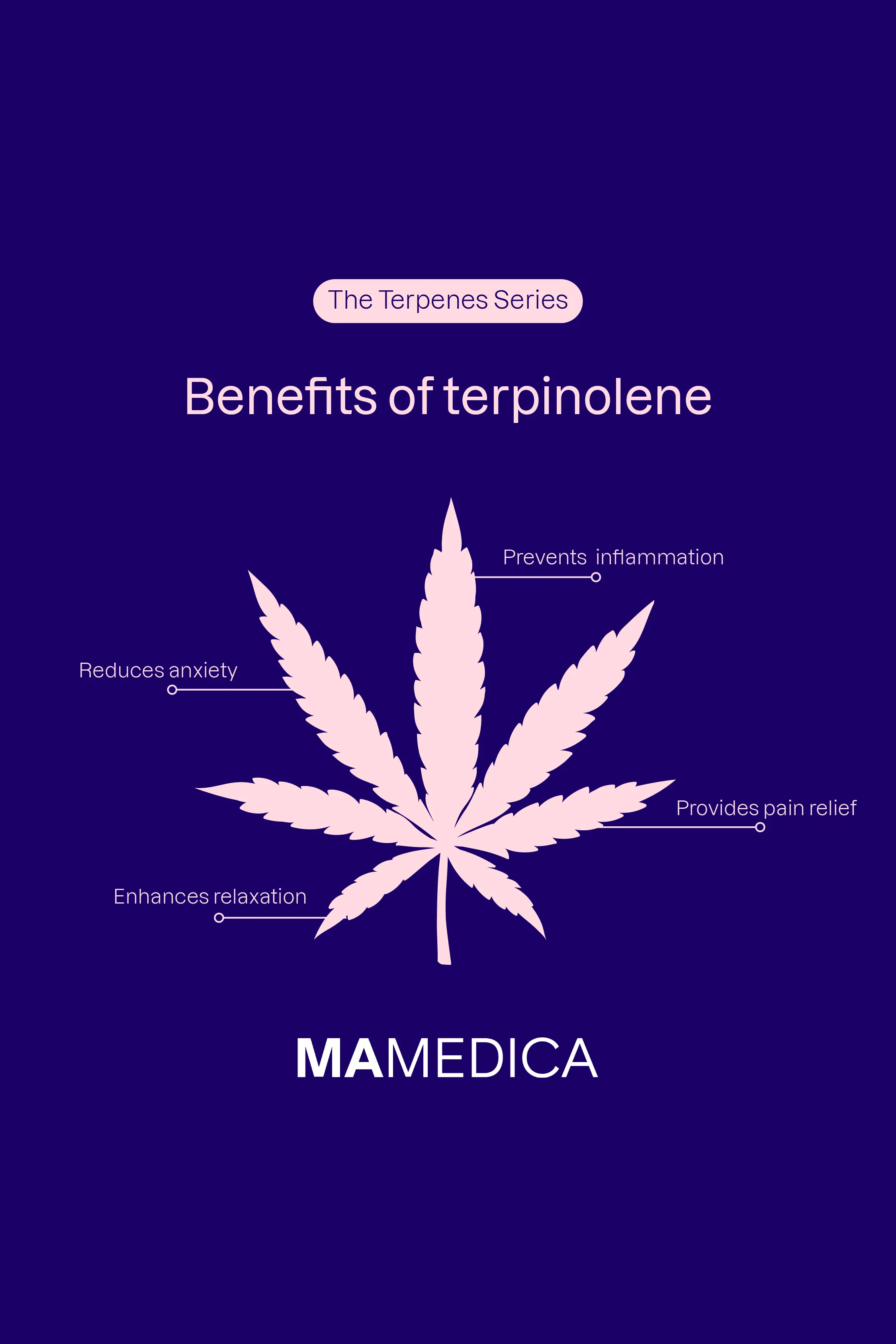 Benefits of terpinolene: Prevents inflammation, reduces anxiety, enhances relaxation, and provides pain relief.