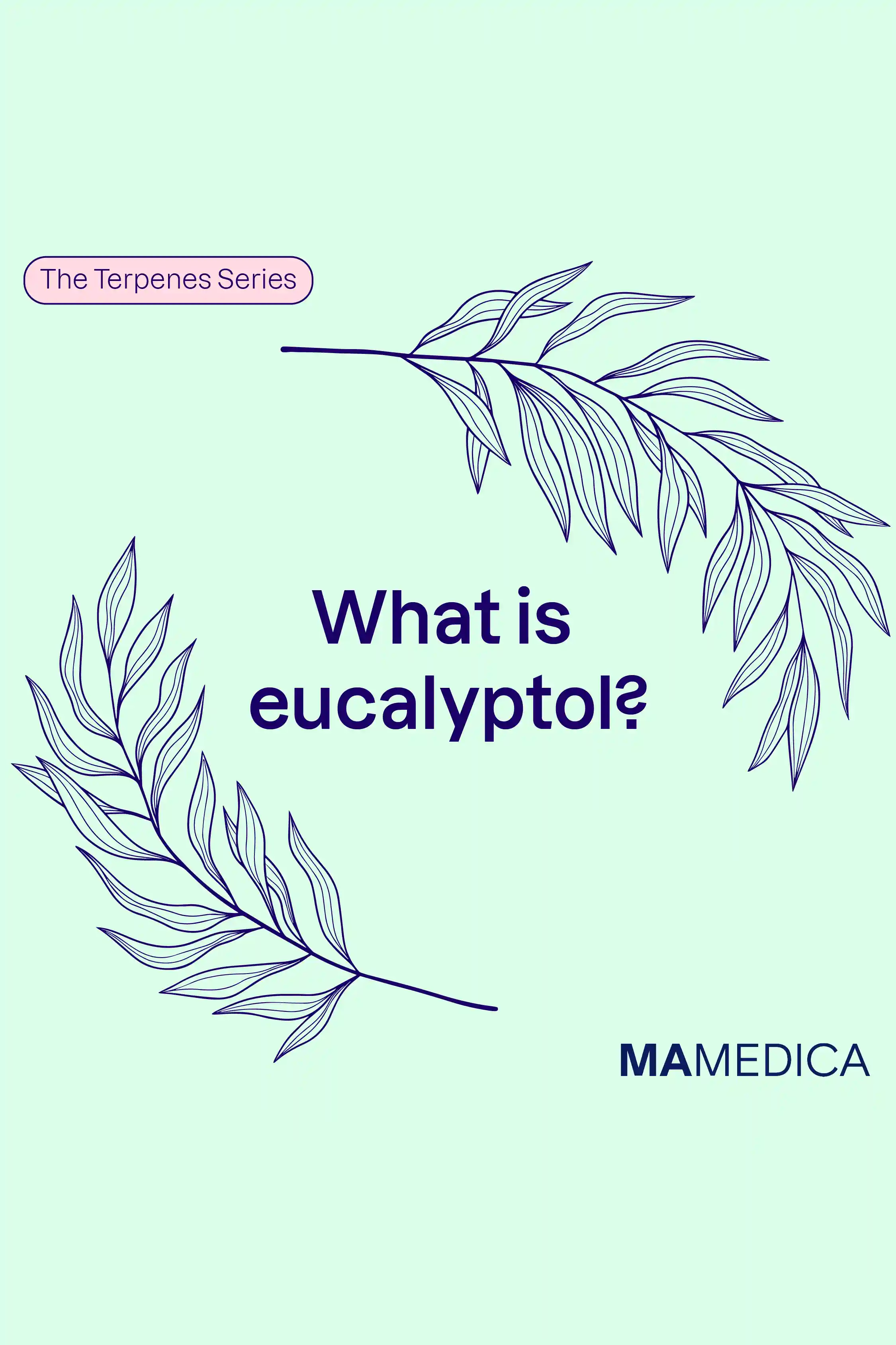 The Terpenes Series: What is Eucalyptol? 