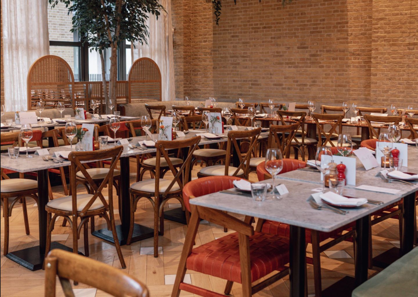 Sunlit indoor dining space with patterned benches, wooden tables, and an olive tree surrounded by lush greenery