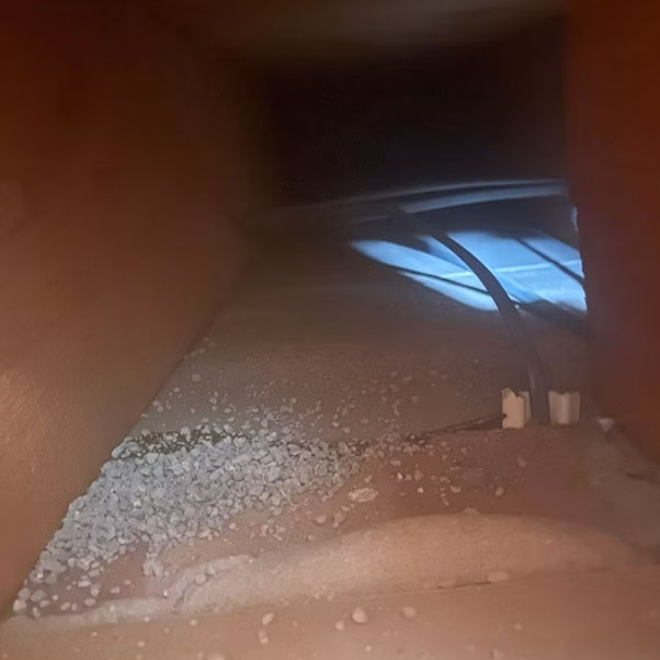 internal space with honey removed