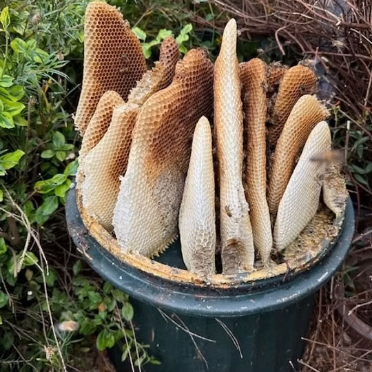 Pipe with honeycombs emerging from the top