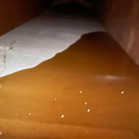 Pool of honey in an internal space