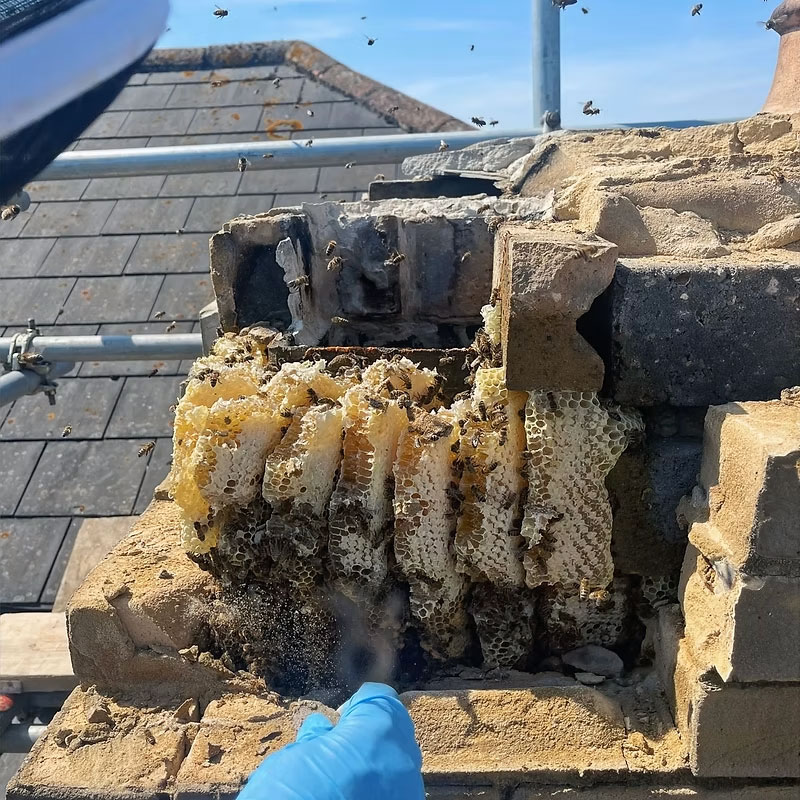 Brick wall taken apart to expose honeycombs
