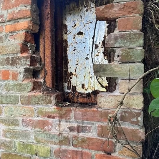 Honeycomb inside an old brick wall