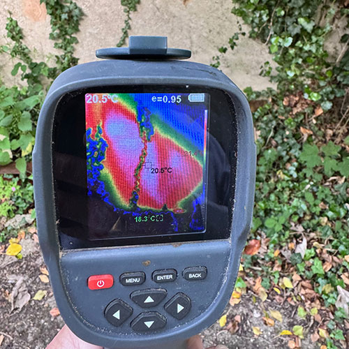Thermal camera being used outside to locate a hive
