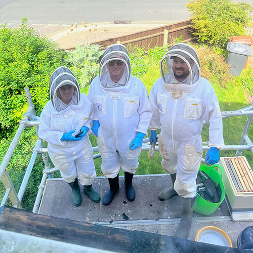 Team of beekeepers on site