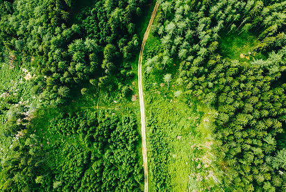 Une vue aérienne, d'un champ vert et végétale