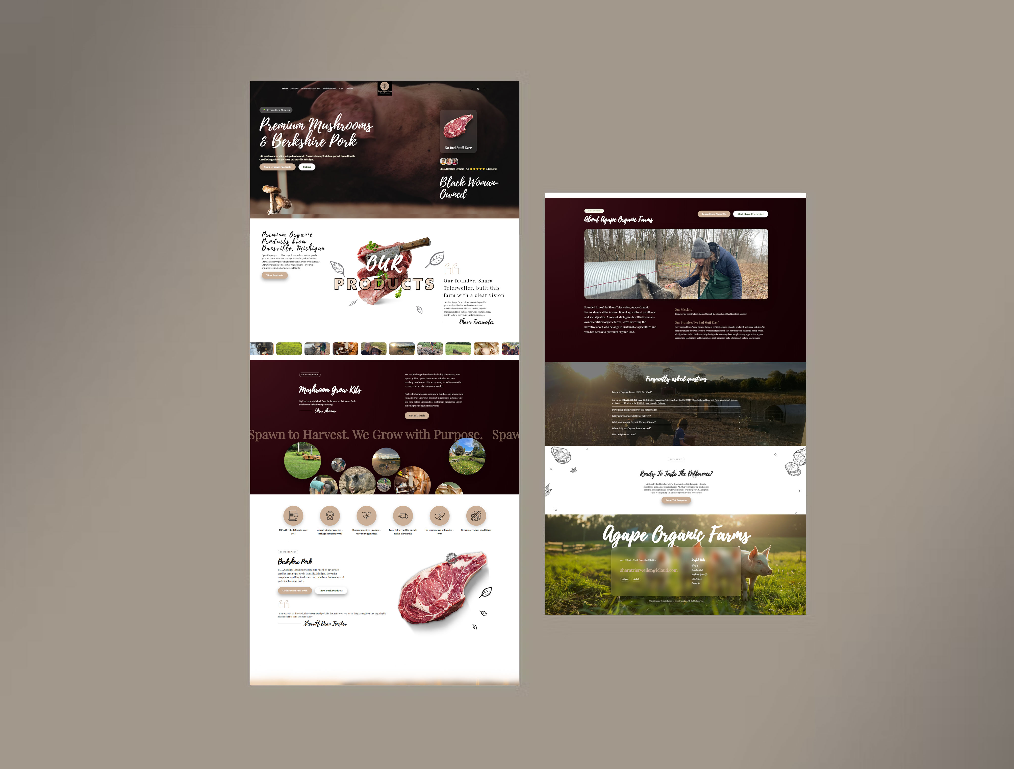 Responsive website design projects by PTS Globals