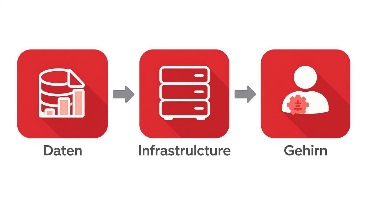 Infographic about ki model erstellen
