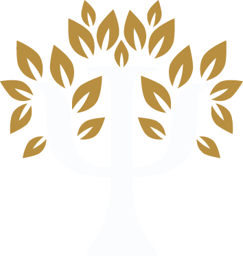 Representação do vínculo terapêutico na Psicologia Cognitivo-Comportamental (TCC)