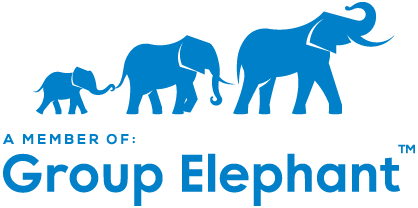 Group Elephant