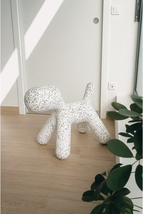 Décoration du cabinet, qui sert également de jeu pour enfant.