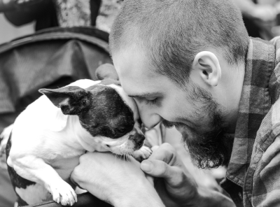 Royal Frenchel cuddling