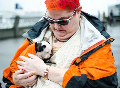 Tiny Royal Frenchel puppy held close inside a person's jacket.