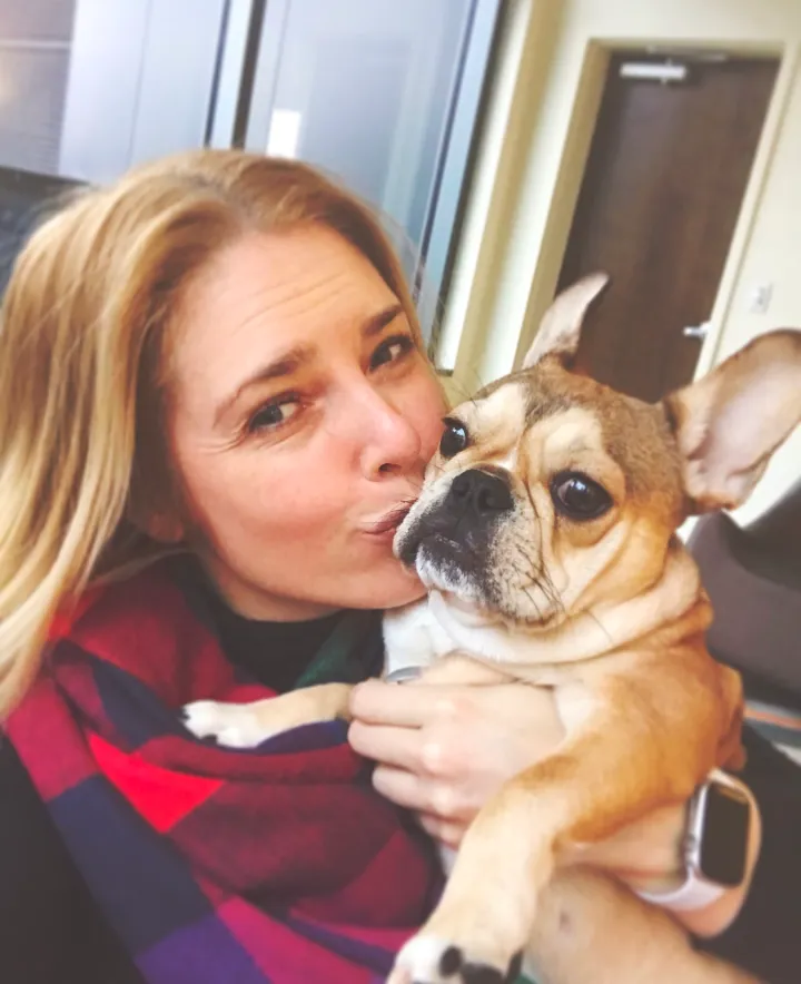 Royal Frenchel being kissed by its owner.