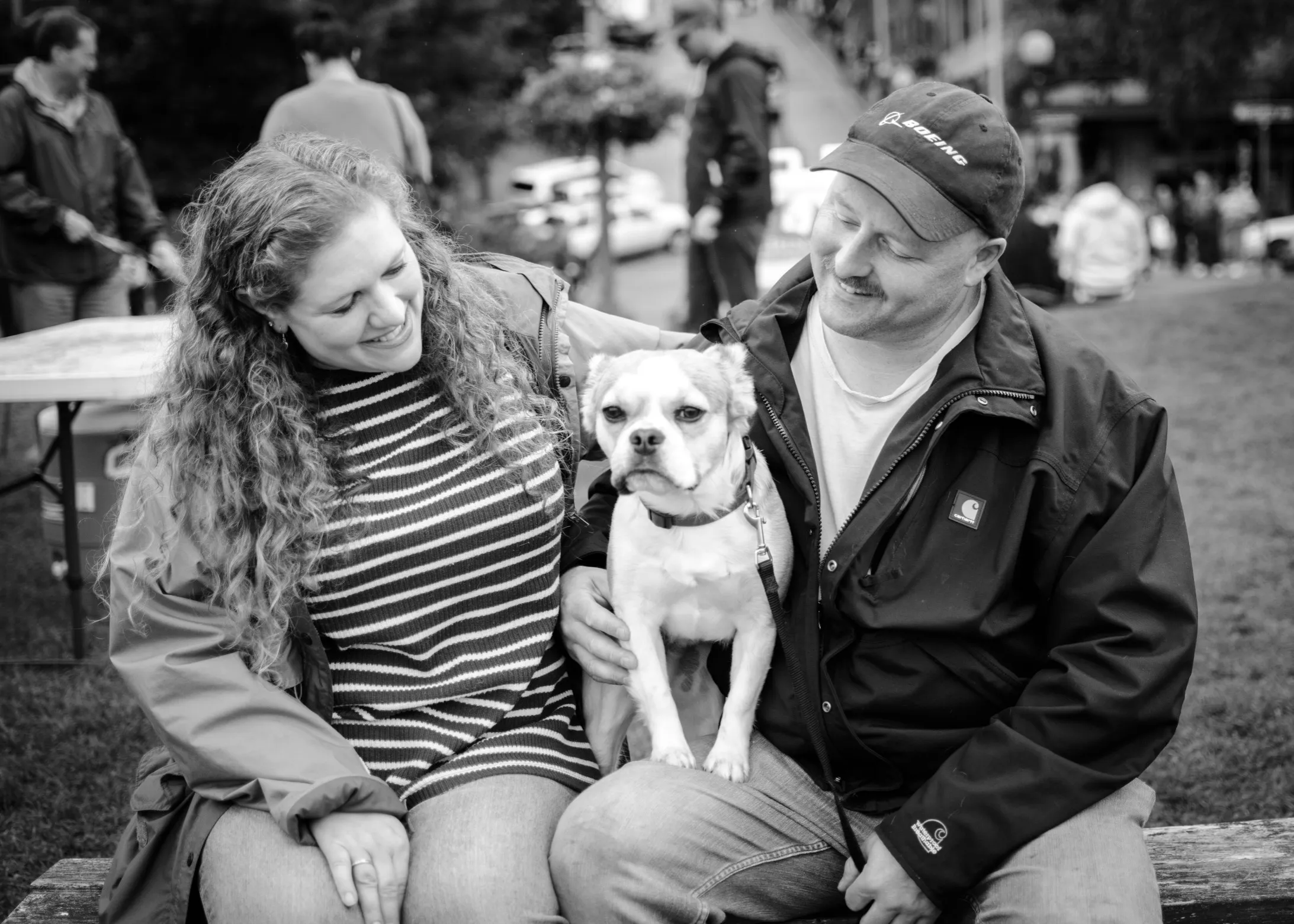 Royal Frenchel companion dog sitting on a couple's lap at a gathering.