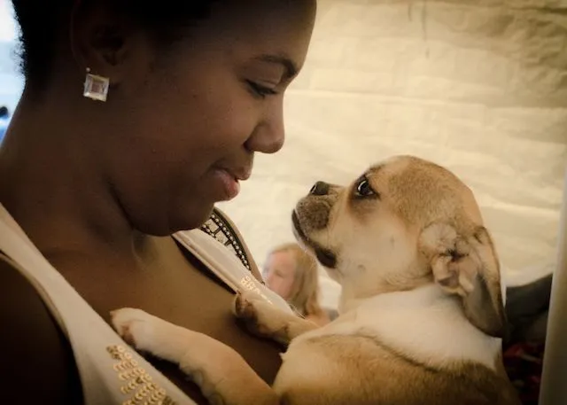 Royal Frenchel dog and owner looking closely at each other.