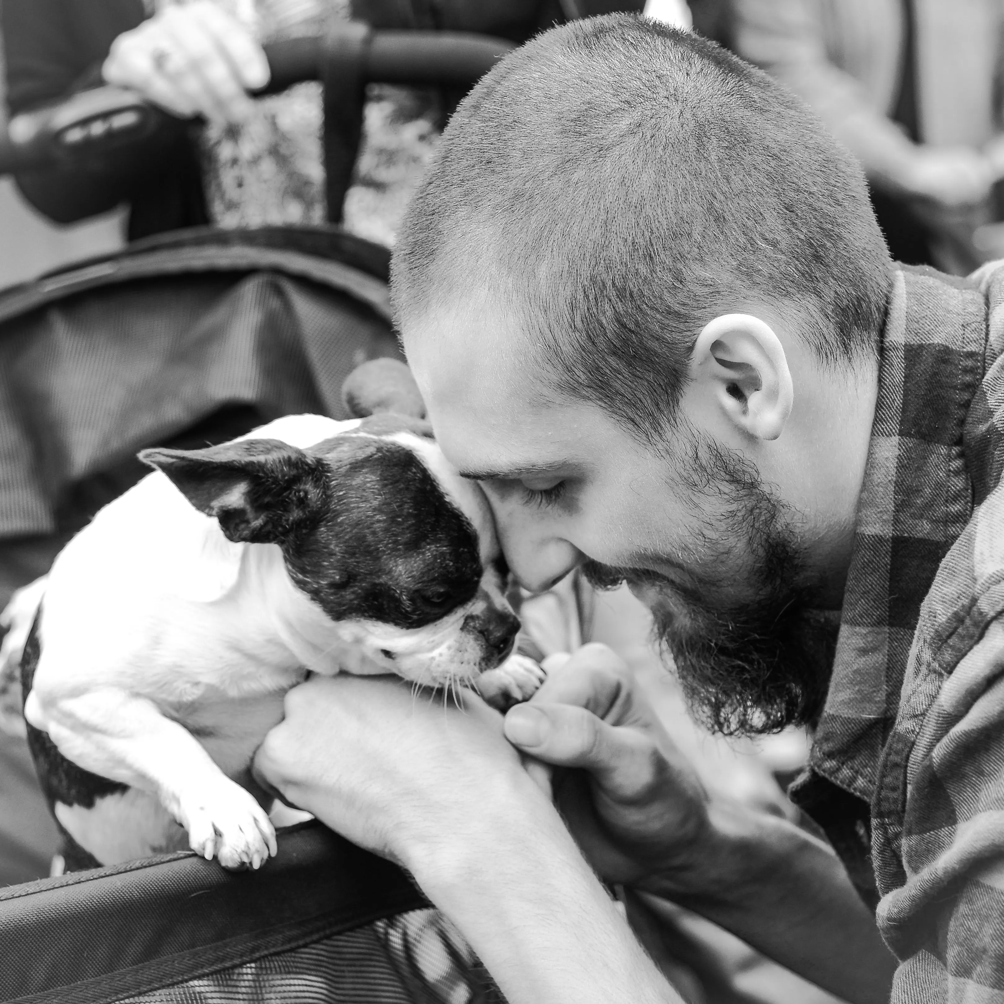 Royal Frenchel dog and owner smiling together in a close affectionate portrait.