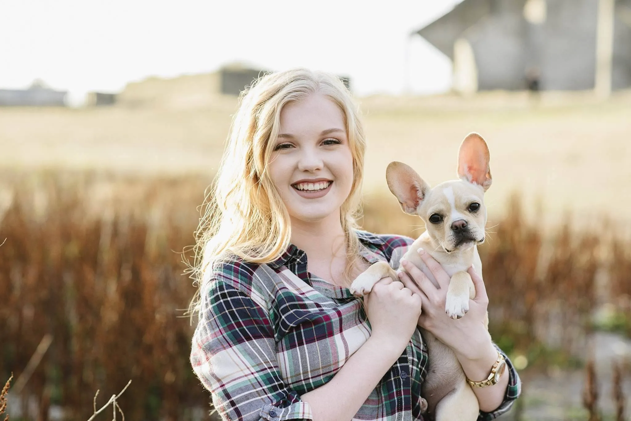 Royal Frenchel companion dog being held in a field and looking at the camera.