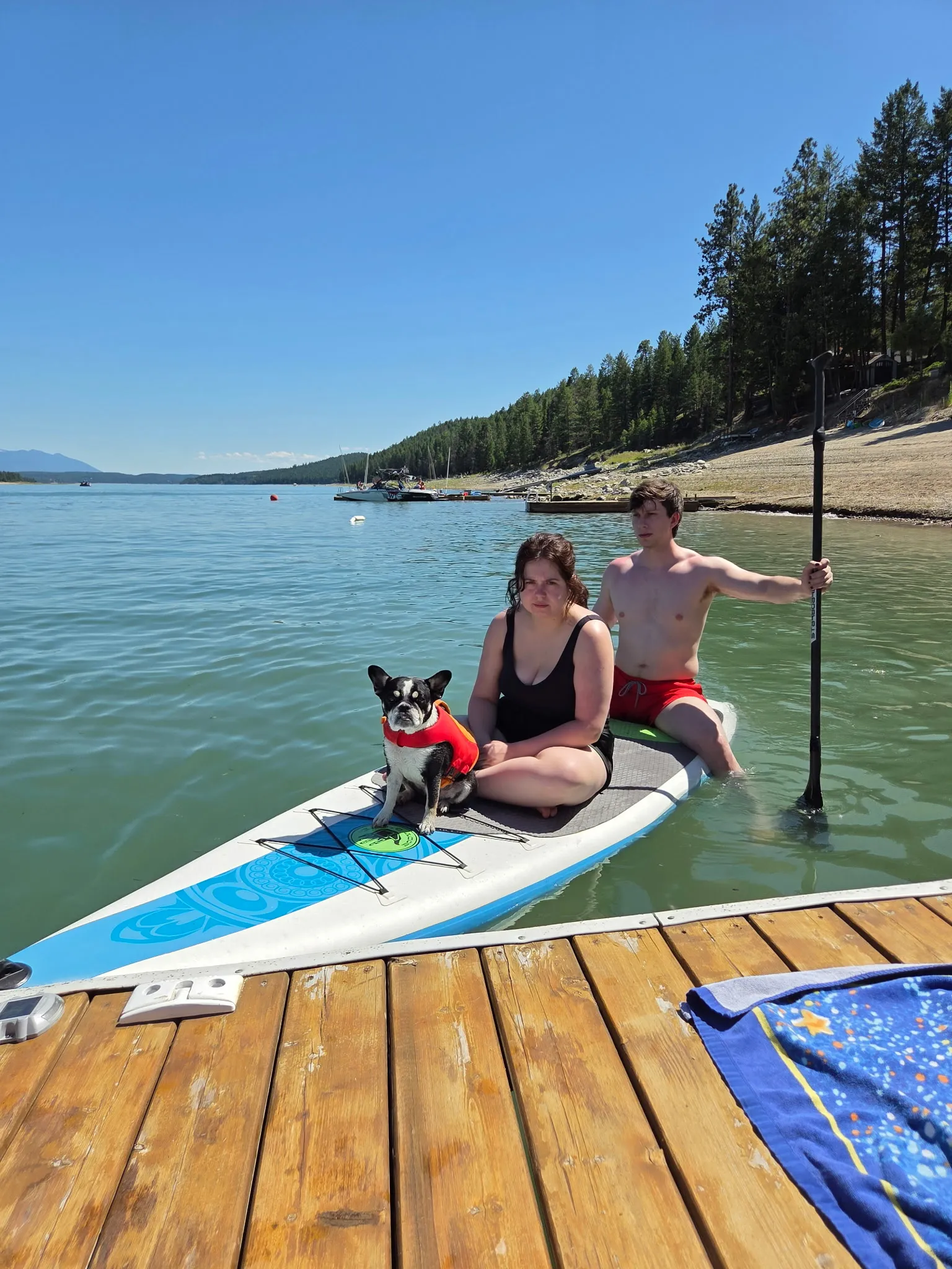 Royal Frenchel sitting calmly with a couple on a paddleboard.