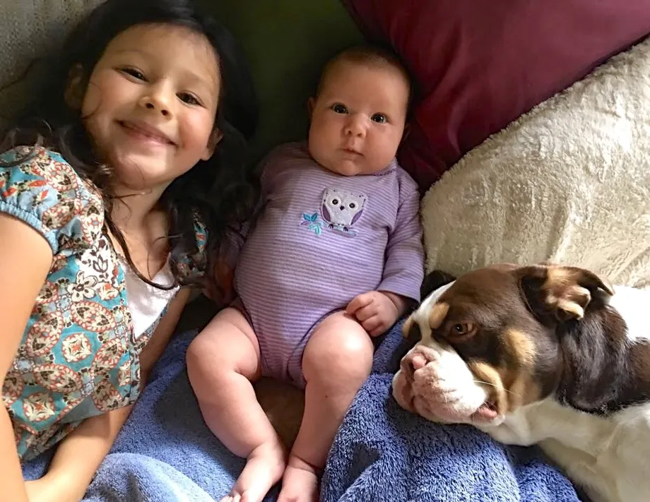 Royal Frenchel resting gently near children and a baby.