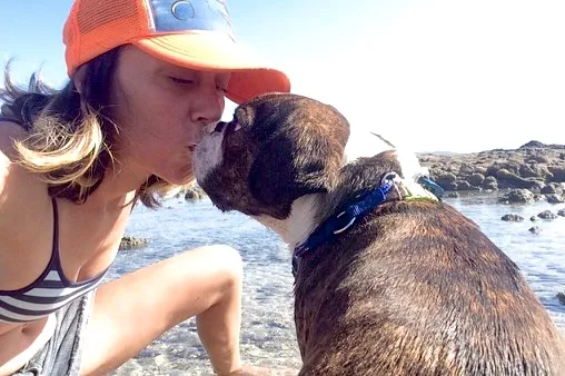 Royal Frenchel sharing an affectionate beach moment with its owner.