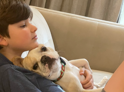 Royal Frenchel cuddling with a child on a couch.