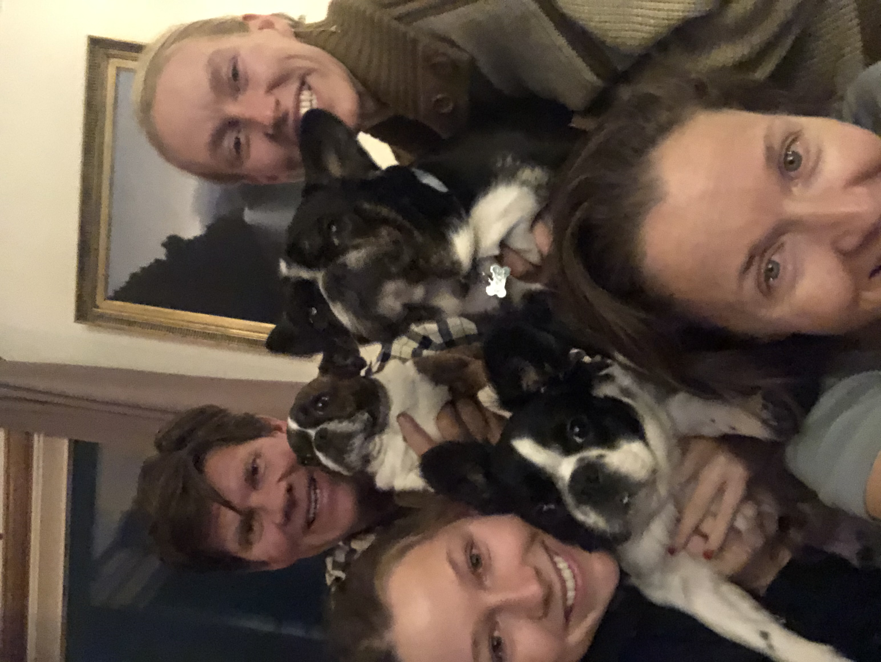 Family laughing together while holding their Royal Frenchel dogs.