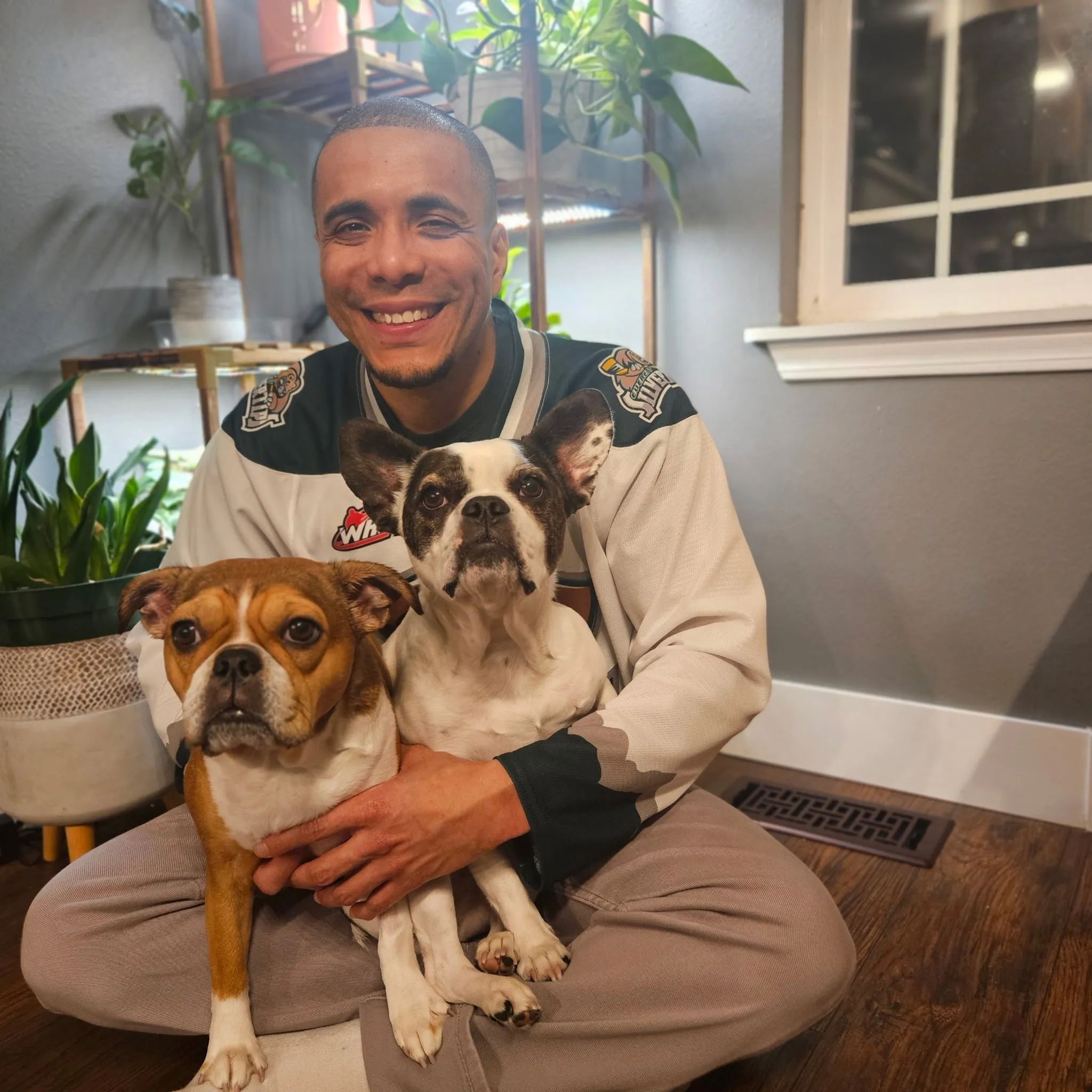 Two Royal Frenchel dogs sitting by a kitchen table and looking up at their owner.