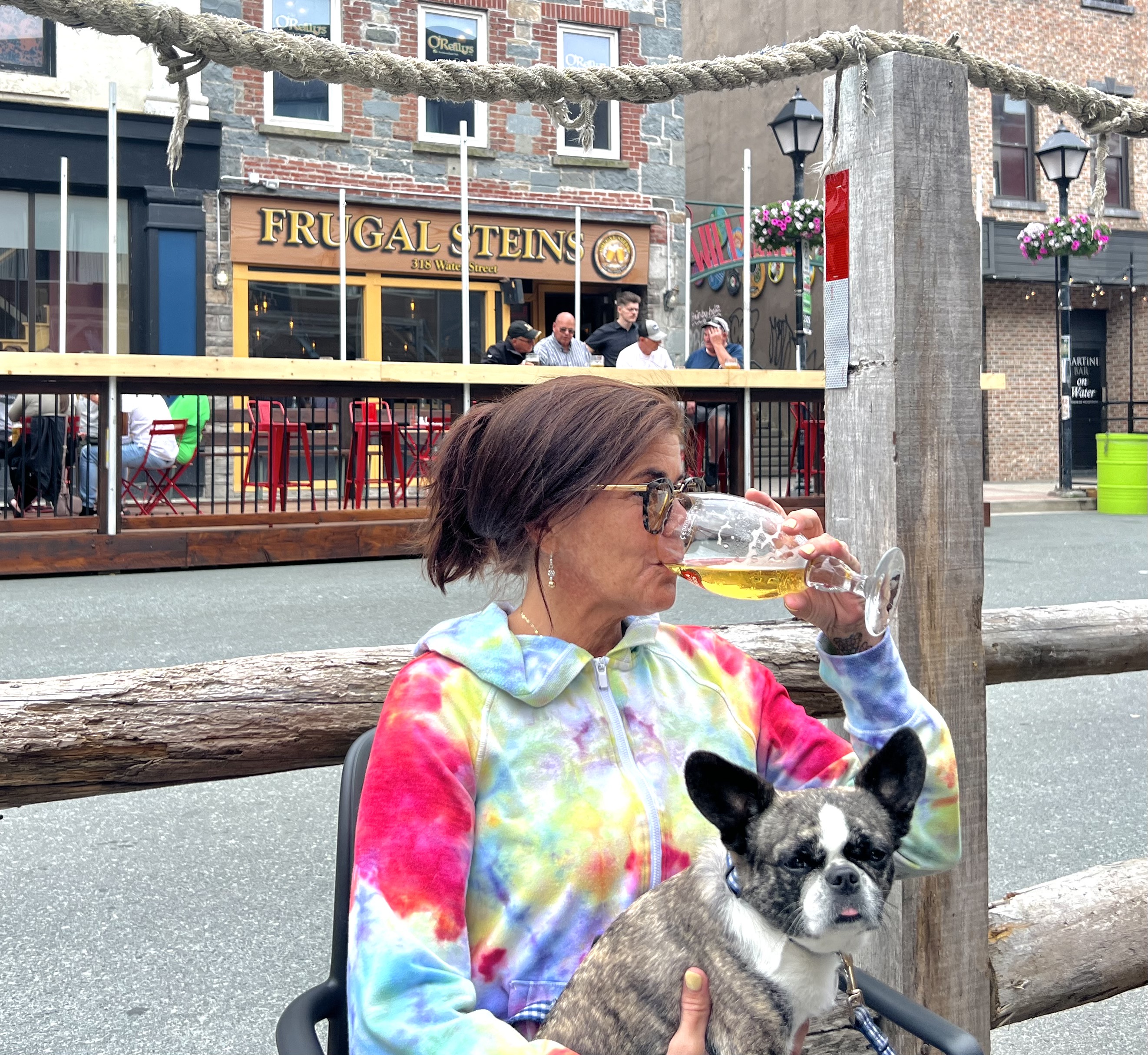Royal Frenchel sitting calmly on a woman's lap in a city setting.