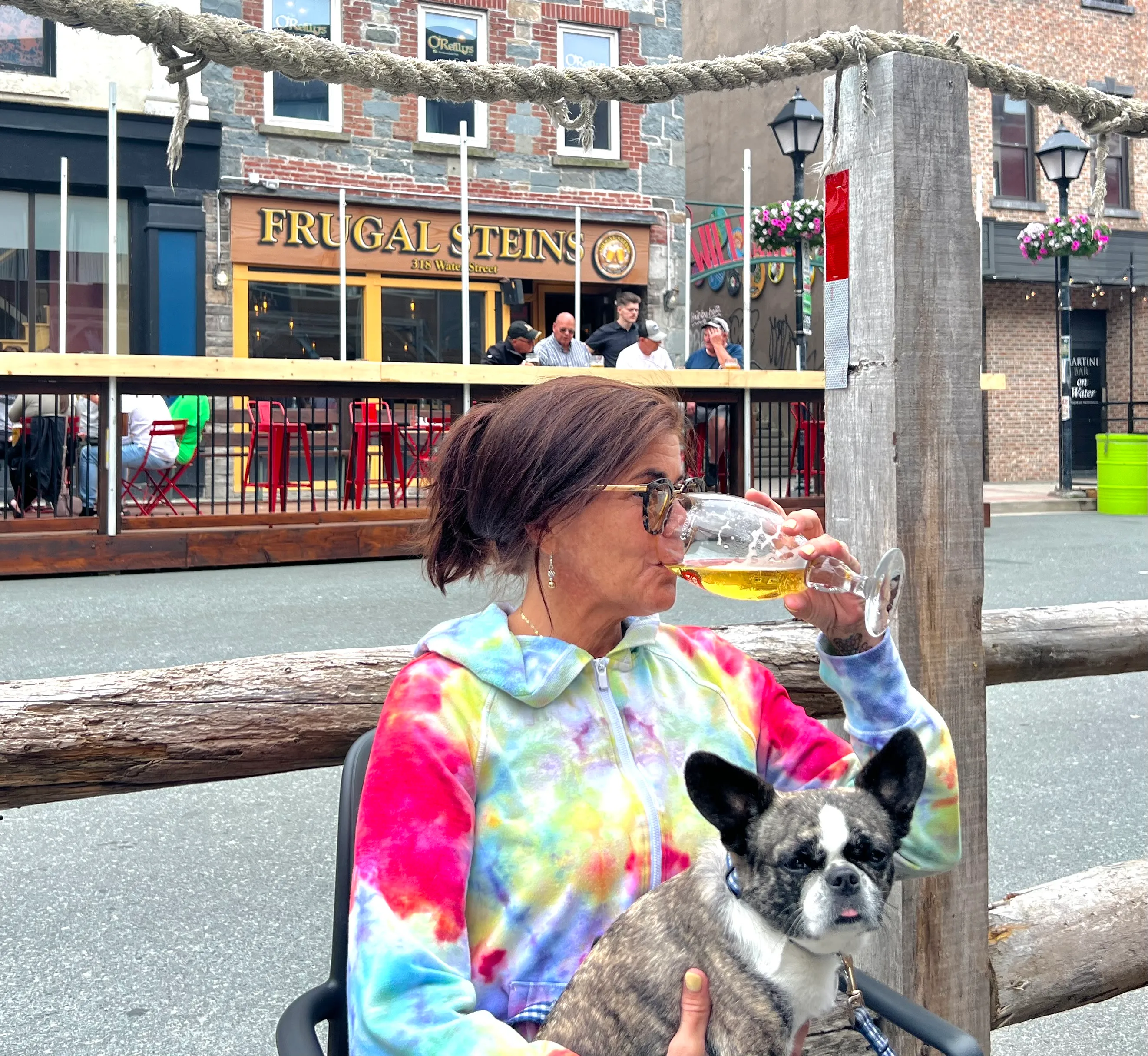 Royal Frenchel sitting calmly on a woman's lap in a city setting.