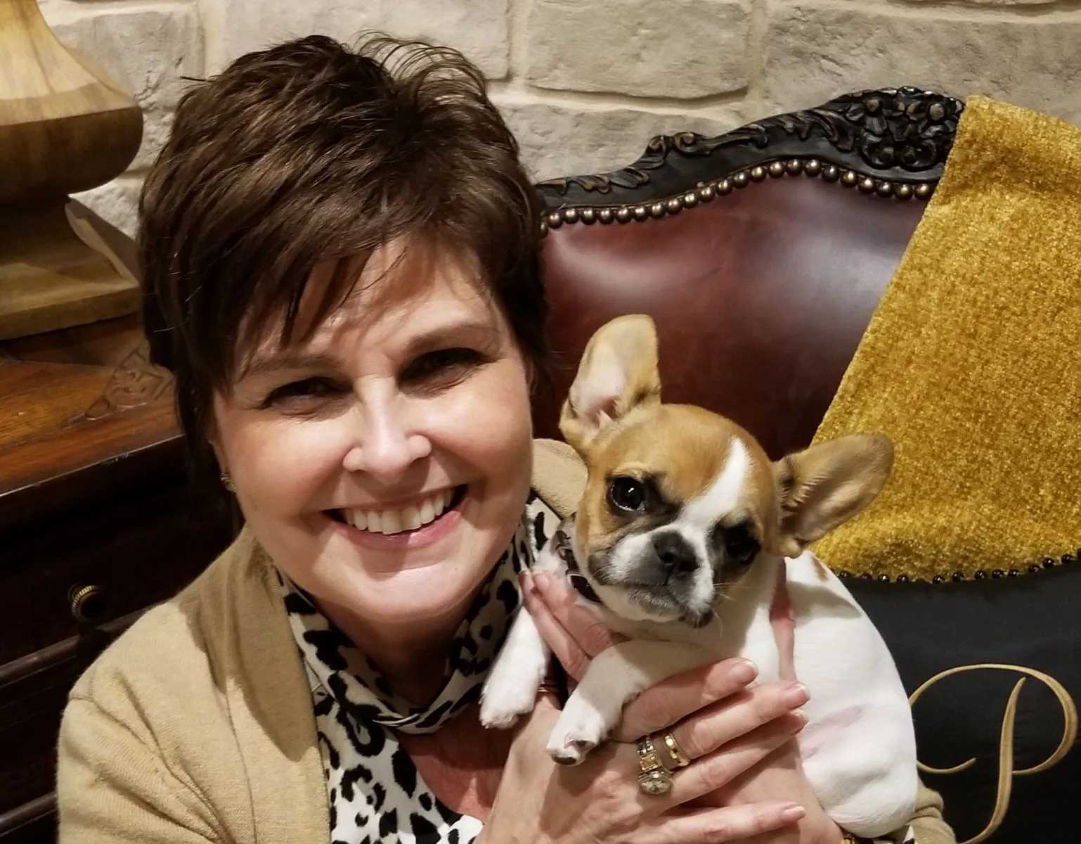 Tiny Royal Frenchel puppy being held up by a smiling owner.