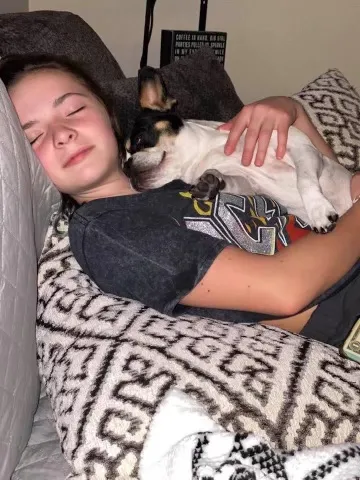 Royal Frenchel family dog sleeping beside a child on a couch.