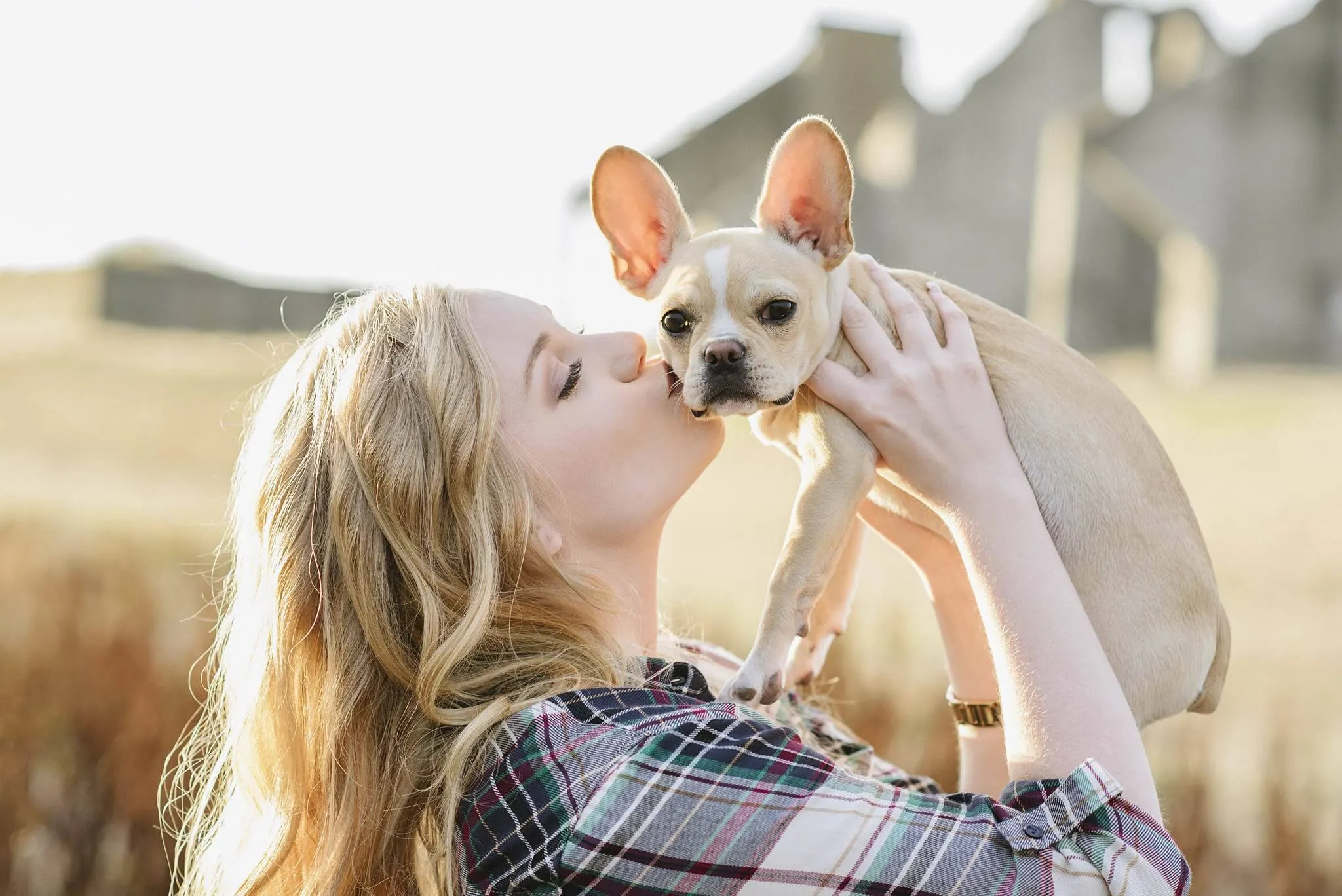 Super Micro Royal Frenchel being held and kissed by its owner.