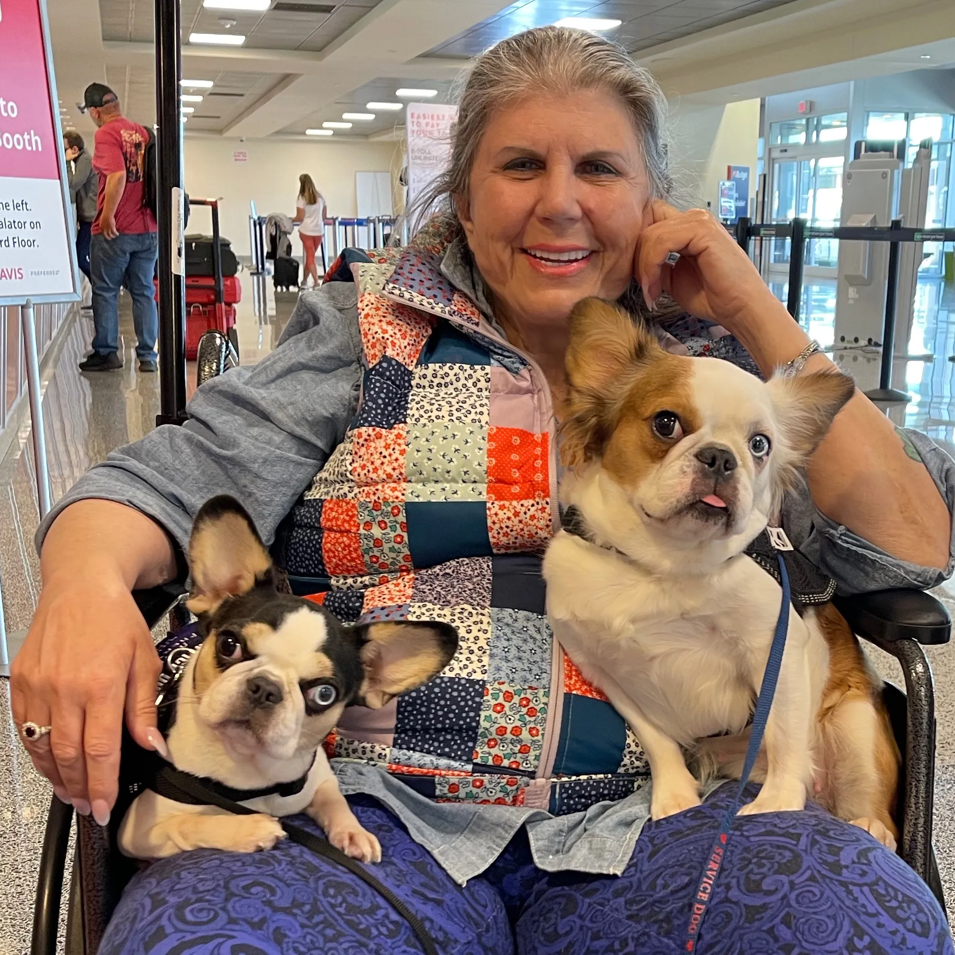 Anahata Graceland sitting at an airport with two calm Super Micro Royal Frenchel service dogs on her lap.