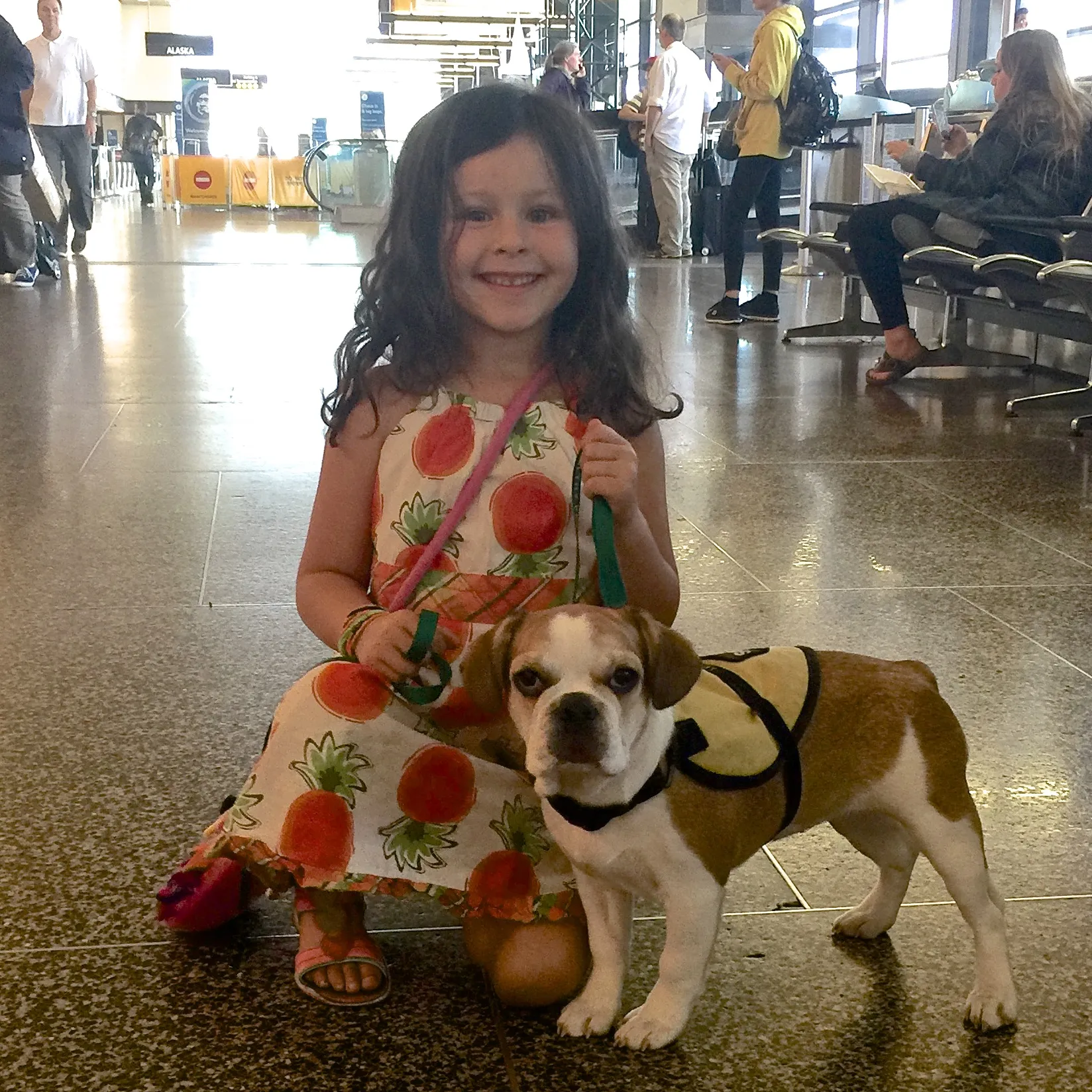 Micro Mini Royal Frenchel sitting calmly with a girl on an airport floor.
