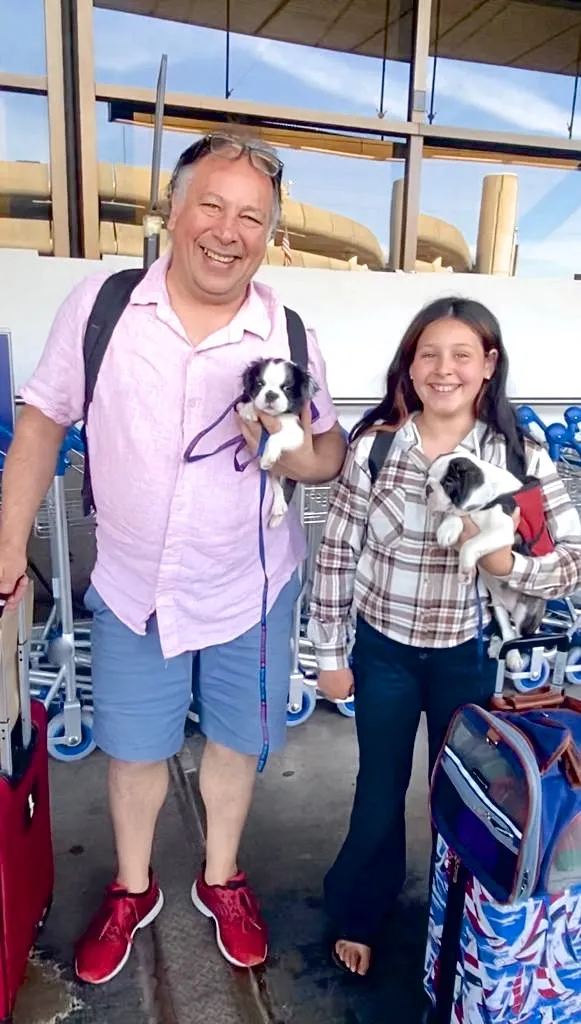 Family traveling through an airport while holding Micro Mini Royal Frenchel puppies.