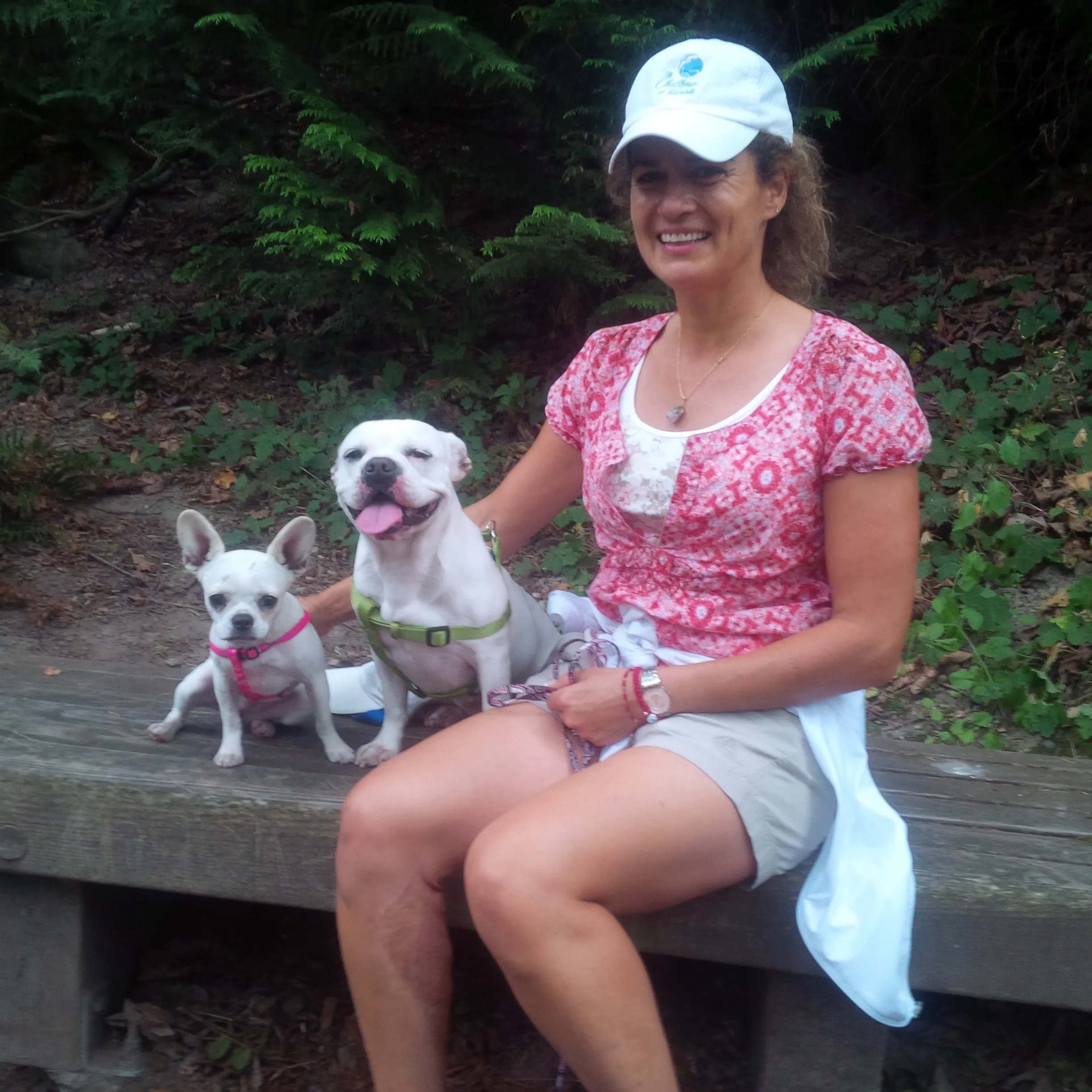 Two Micro Mini Royal Frenchels sitting with their owner on a forest hike.