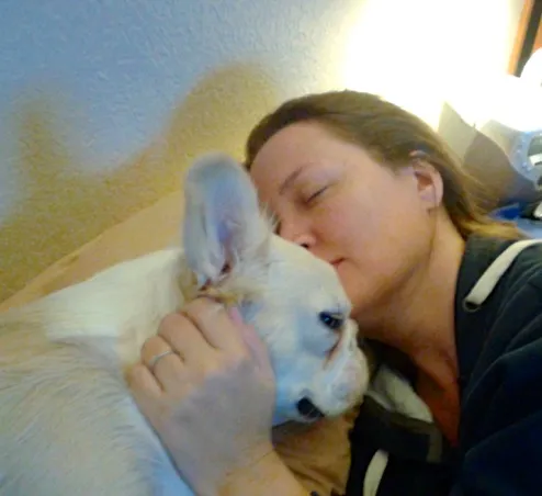 Small Royal Frenchel snuggling with its owner.