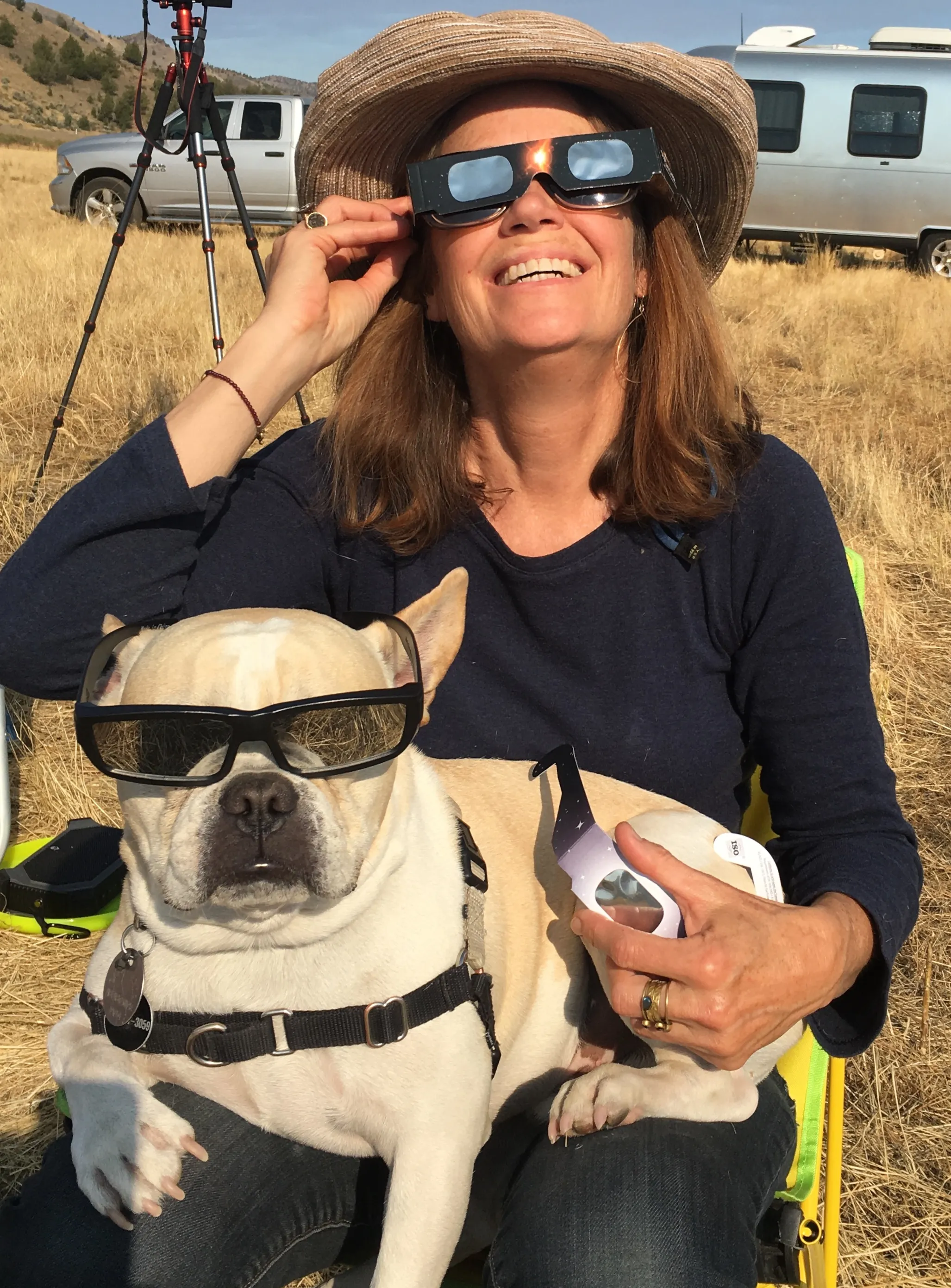 Regular Royal Frenchel sitting with its owner during a solar eclipse outing.
