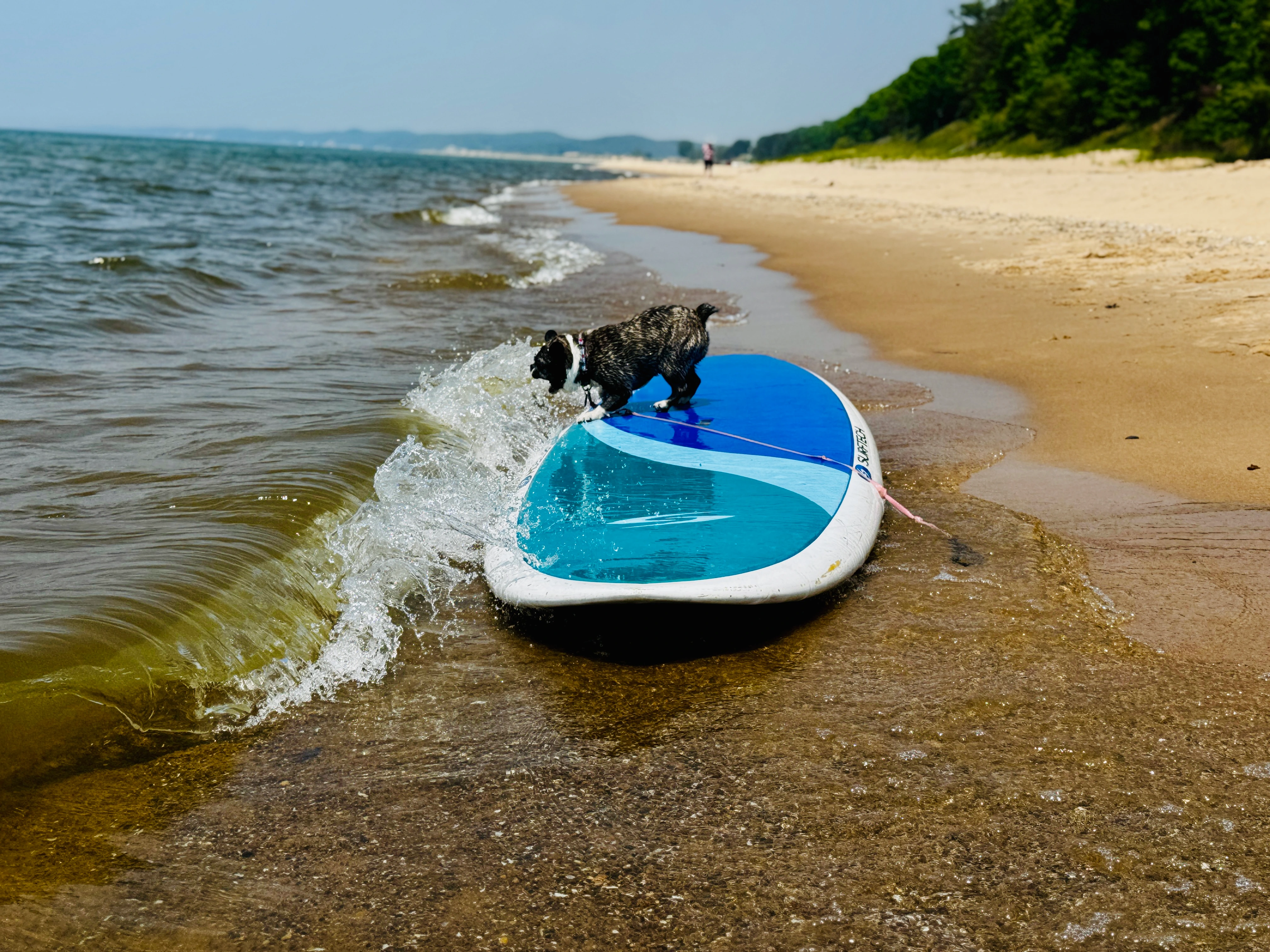 Royal Frenchel standing on a surfboard at the beach as a wave rolls in.