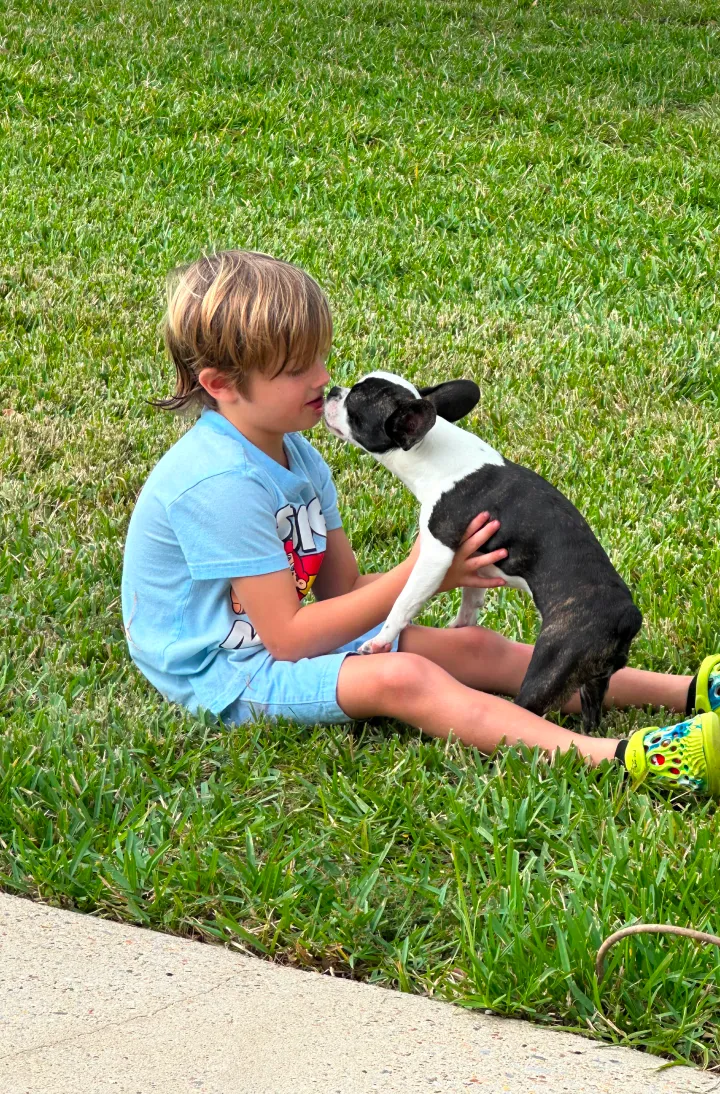 Boy sitting in grass and cuddling closely with his Royal Frenchel.