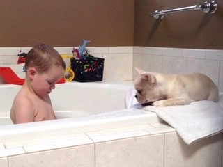Royal Frenchel sitting beside a little boy during bath time at home.