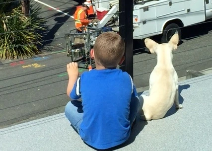 Boy sitting on a balcony with his Royal Frenchel looking out at the street.
