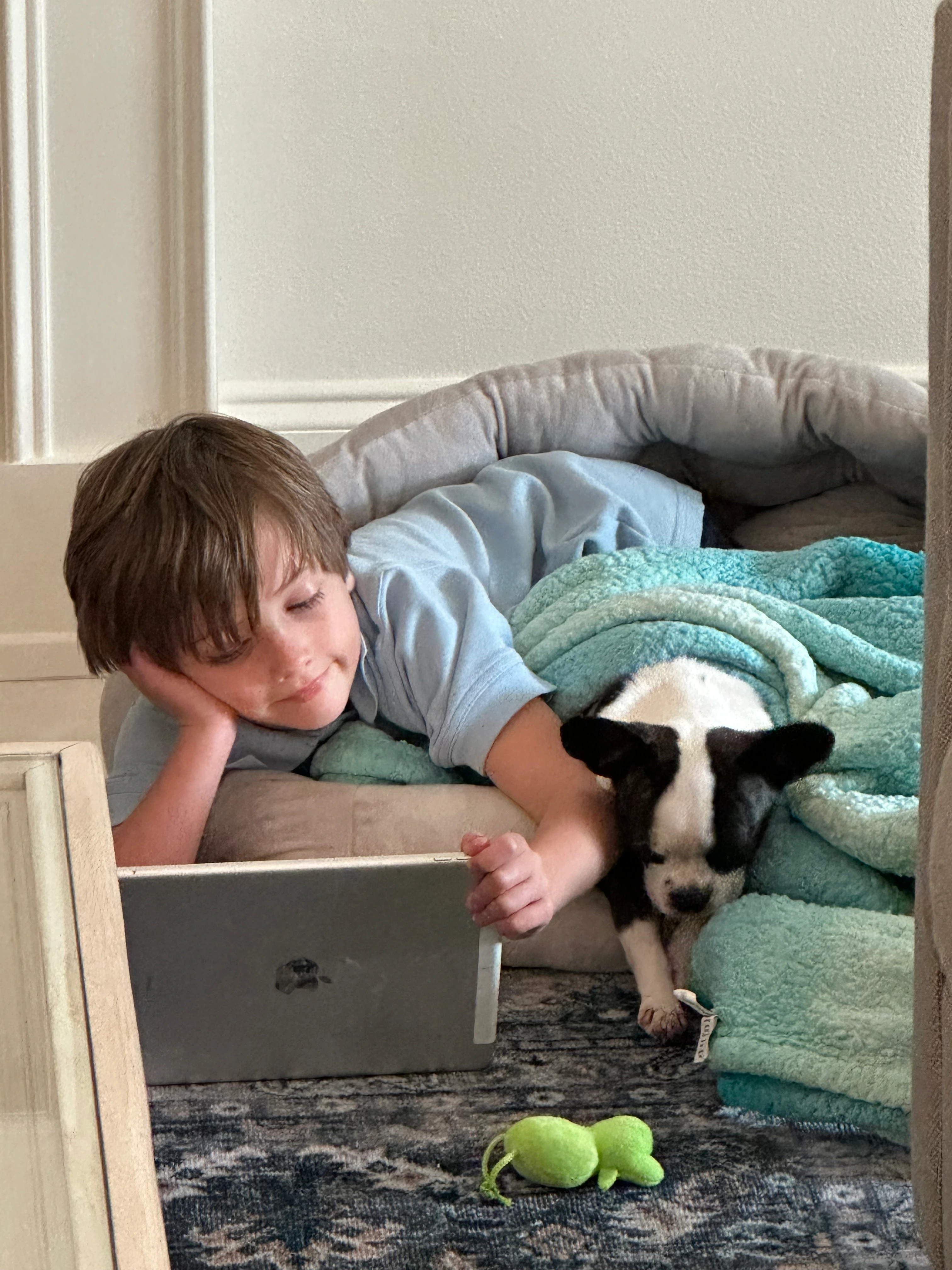 Boy lying in a dog bed with his Royal Frenchel while watching a laptop.