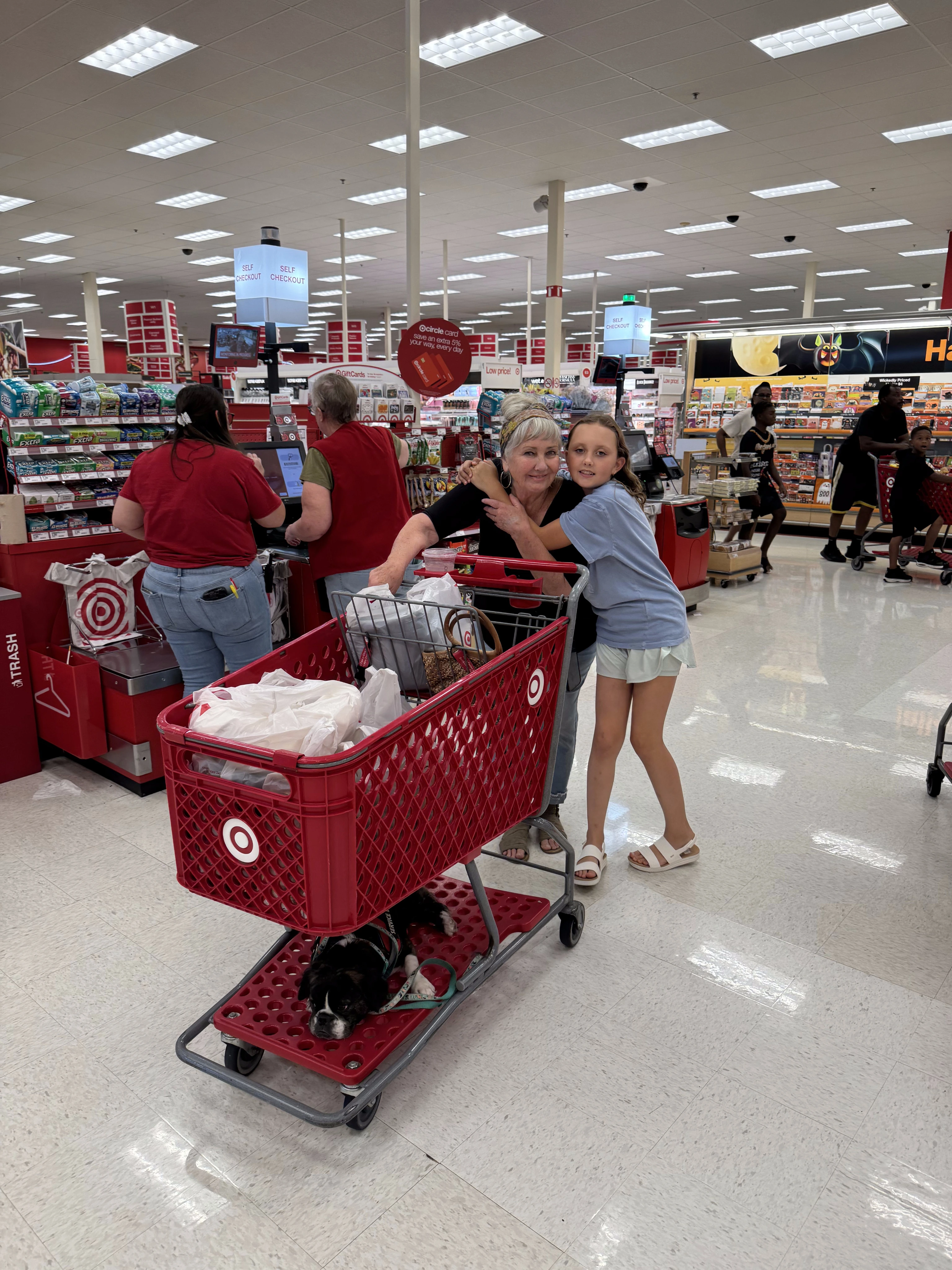 Royal Frenchel riding calmly in a Target shopping cart with family.