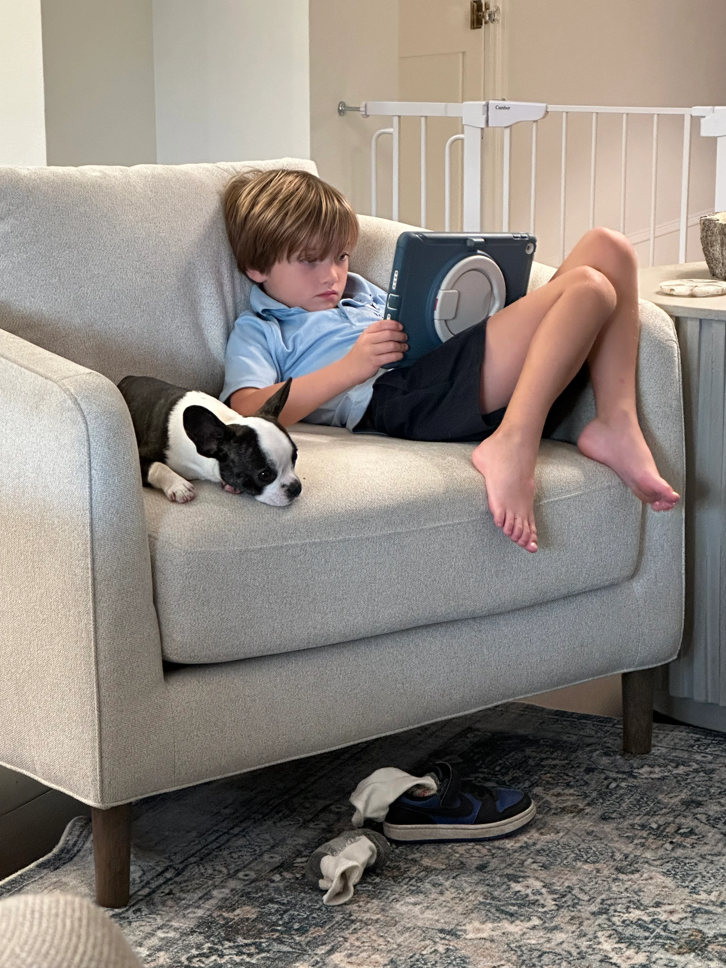Boy sitting in an armchair with his Royal Frenchel while using an iPad.